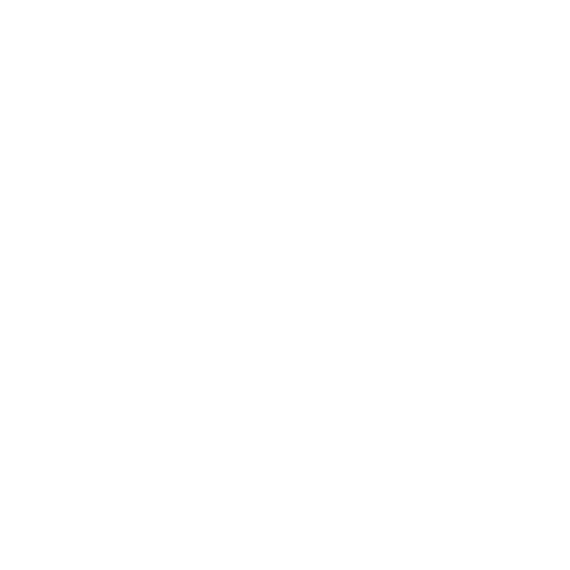 seta
